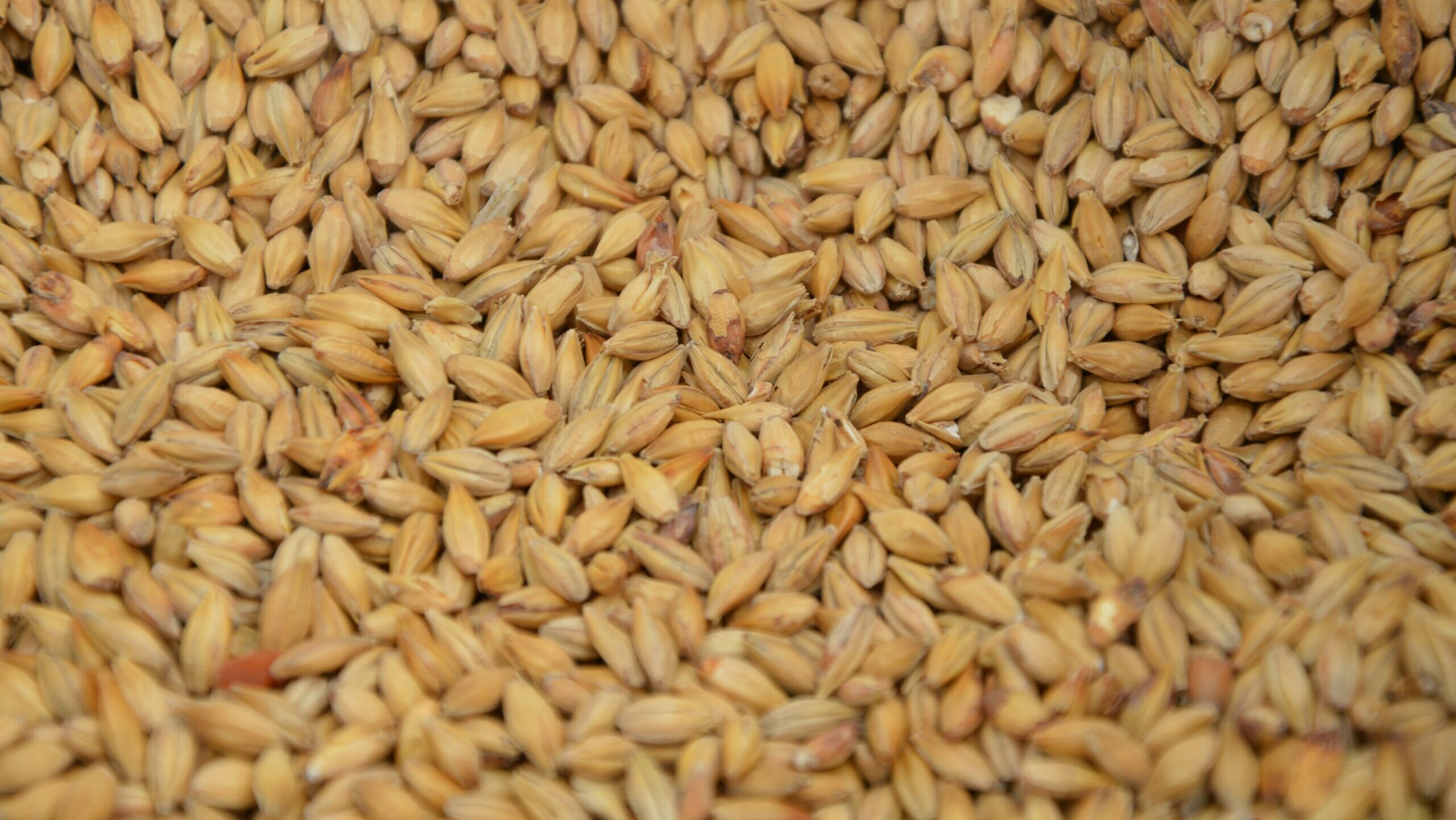 Lutz wernitz pcw5br7gsj4 unsplash