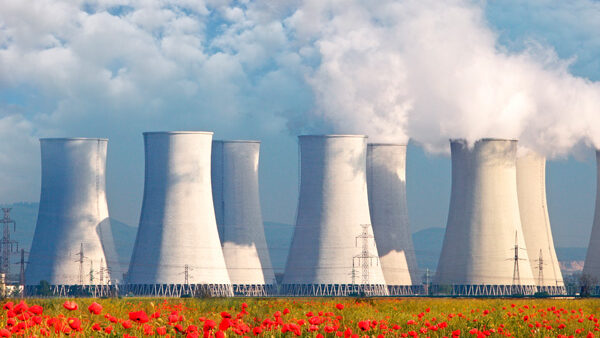 Kühltürme eines Kraftwerks, die Dampf abgeben, mit roten Mohnblumen im Vordergrund unter einem teilweise bewölkten Himmel.